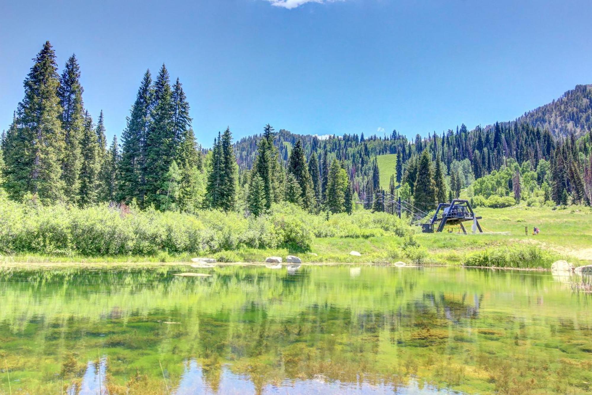 Eagle Springs East 315: Osprey Suite Solitude Eksteriør bilde